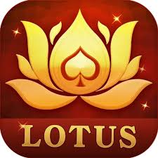teen patti poker hack download